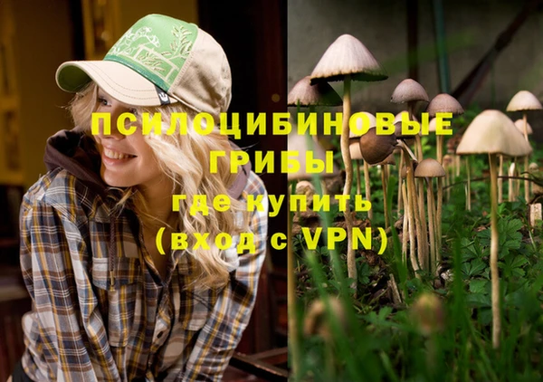 твердый Алексеевка