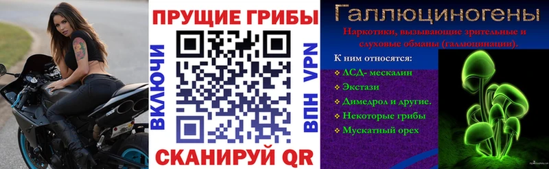 Псилоцибиновые грибы GOLDEN TEACHER  даркнет сайт  Курск 