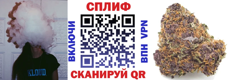 что такое Курск Бошки Шишки семена